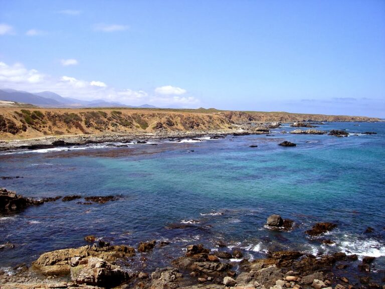 Municipalidad de Los Vilos reclama ante el Primer Tribunal Ambiental para que proyecto de extracción de agua de mar ingrese al SEIA
