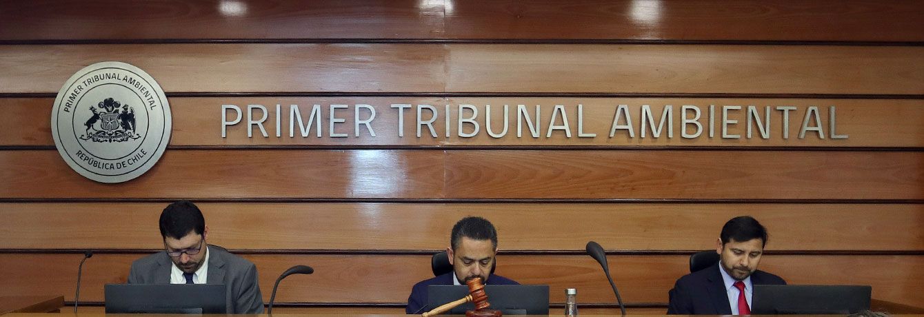 Primer Tribunal Ambiental escucha alegatos en reclamación contra Servicio de Evaluación Ambiental, SEA, por calificación favorable de Proyecto Desarrollo Mantoverde