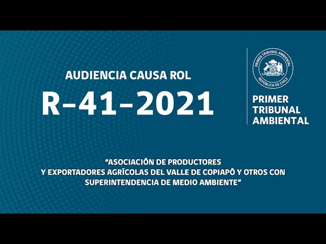 R-41-2021: «Asociación de Productores y Exportadores Agrícolas del Valle de Copiapó y otros con SMA»