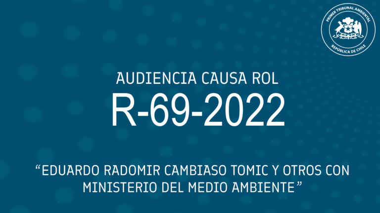 Audiencia R-69-2022 «Eduardo Radomir Cambiaso Tomic y otros con Ministerio del Medio Ambiente»