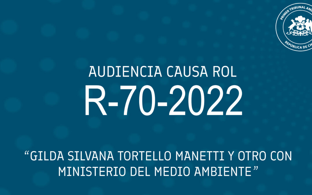 Audiencia R-70-2022: «Gilda Silvana Tortello Manetti y otro con Ministerio del Medio Ambiente»