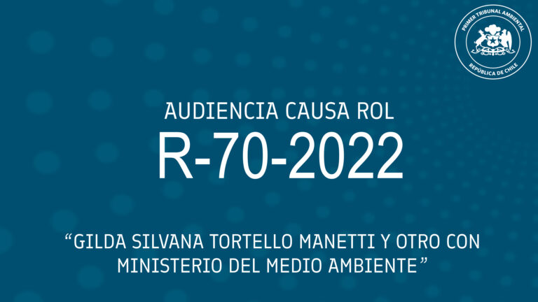 Audiencia R-70-2022: «Gilda Silvana Tortello Manetti y otro con Ministerio del Medio Ambiente»