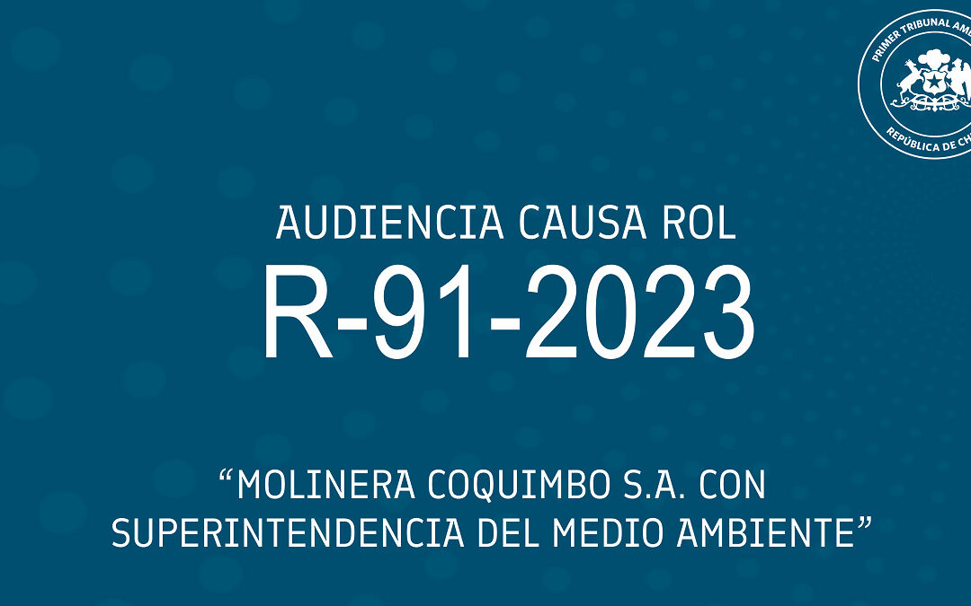 Audiencia R-91-2023 «Molinera Coquimbo S.A. con Superintendencia del Medio Ambiente»