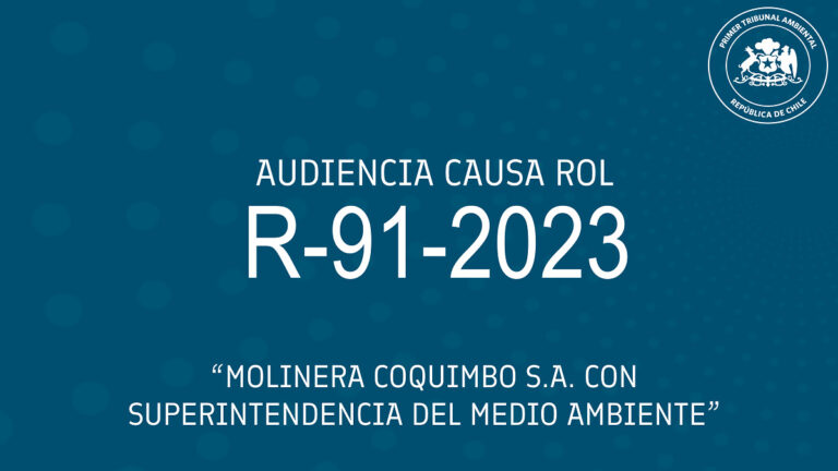 Audiencia R-91-2023 «Molinera Coquimbo S.A. con Superintendencia del Medio Ambiente»