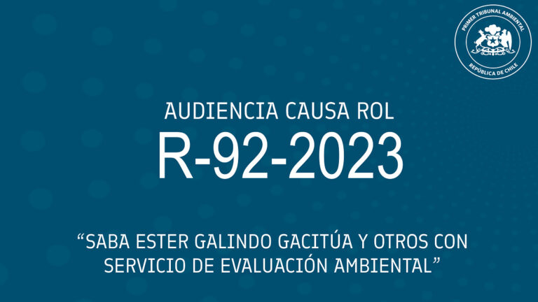 Audiencia R-92-2023 «Saba Ester Galindo Gacitúa y otros con Servicio de Evaluación Ambiental»