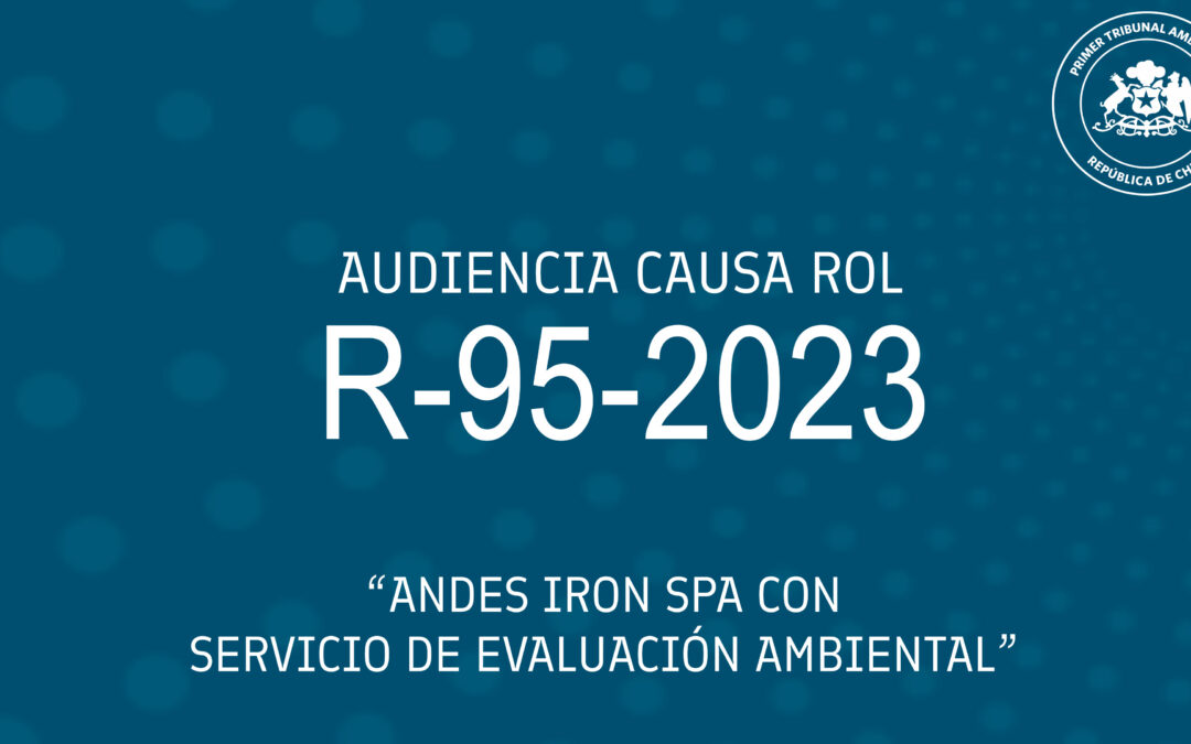 Ahora: Audiencia de Alegatos causa Dominga R-95-2023