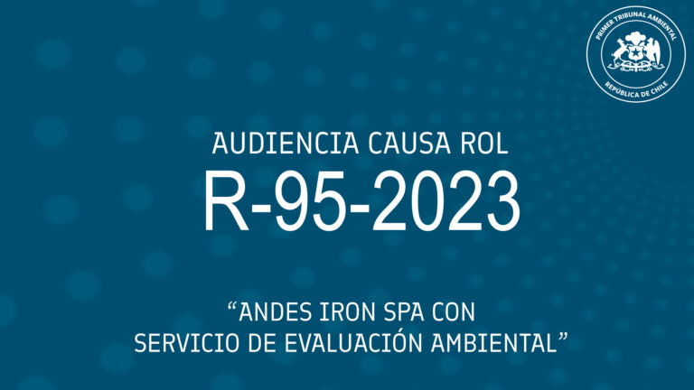 Ahora: Audiencia de Alegatos causa Dominga R-95-2023