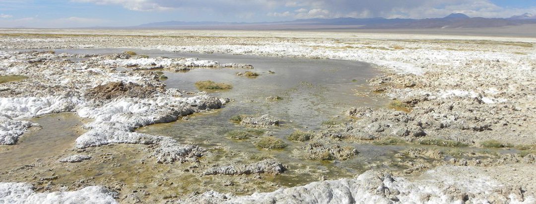 Primer Tribunal Ambiental acoge a trámite demanda por daño ambiental en contra de Minera Escondida