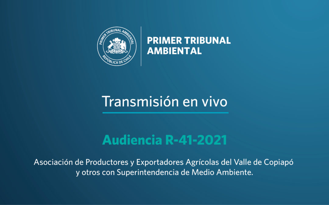 Audiencia en vivo R-41-2021 Asociación de Productores y Exportadores Agrícolas del Valle de Copiapó y otros con Superintendencia de Medio Ambiente