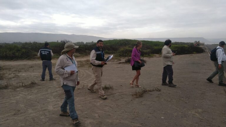 Primer Tribunal Ambiental recorrió nuevos sectores del Humedal Urbano del Río Lluta