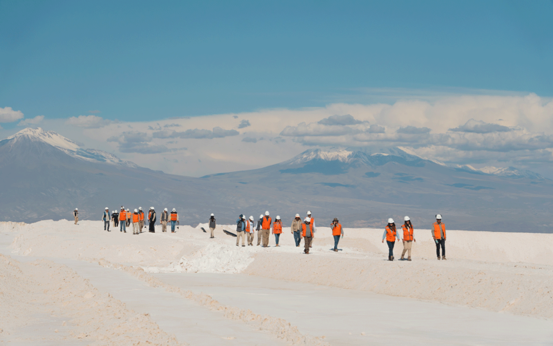 Primer Tribunal Ambiental realiza visita inspectiva a instalaciones de SQM y zonas aledañas