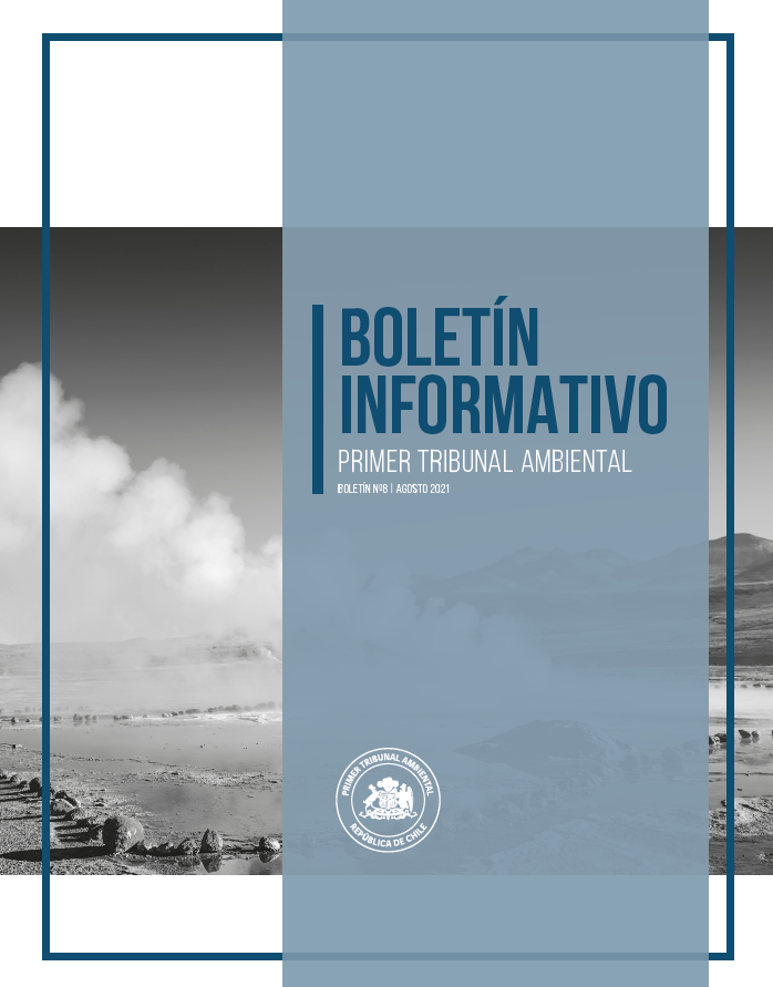 Boletín N°08 agosto 2021