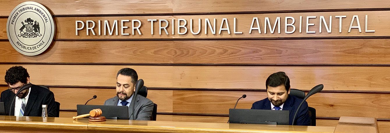 Primer Tribunal Ambiental escucha alegatos y llega a Acuerdo en causa Rutas del Loa