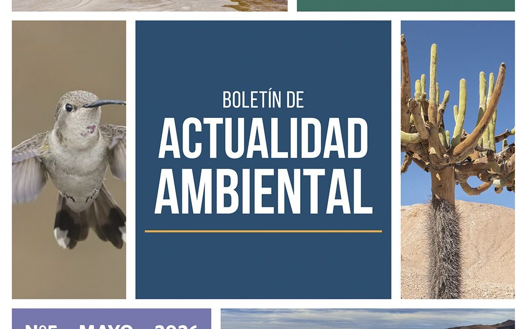 Primer Tribunal Ambiental publica nuevo número de su Boletín de Actualidad Ambiental