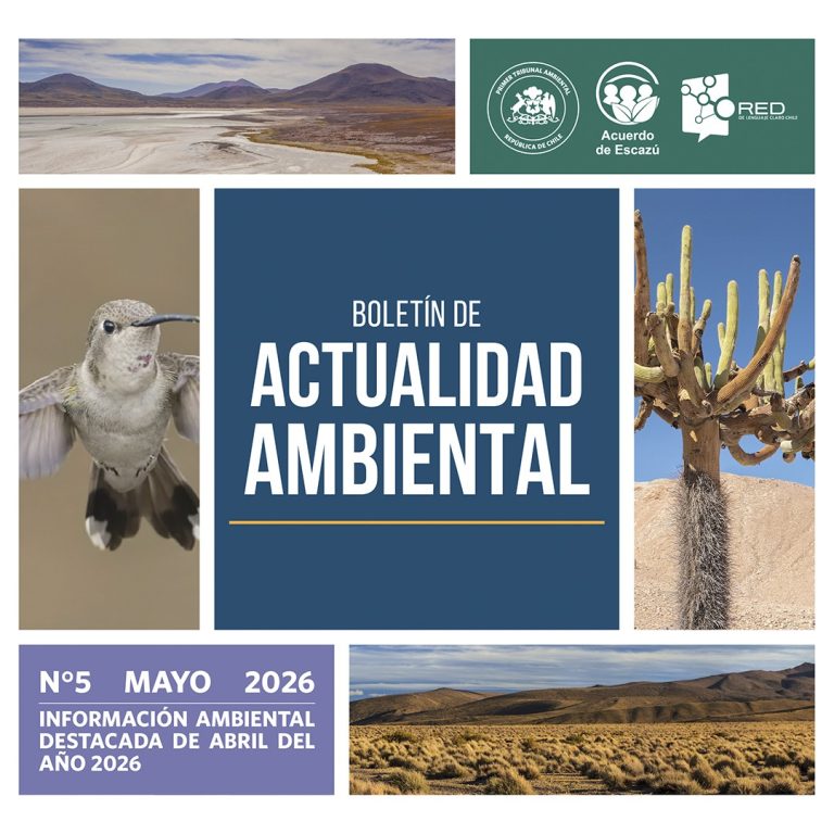 Primer Tribunal Ambiental publica nuevo número de su Boletín de Actualidad Ambiental