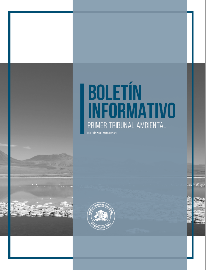 Boletín N°03 marzo 2021