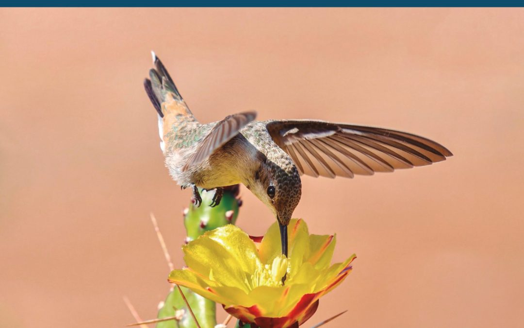 Primer Tribunal Ambiental presenta la Revista Ambiental de Derecho y Ciencia N° 2- Año 2025